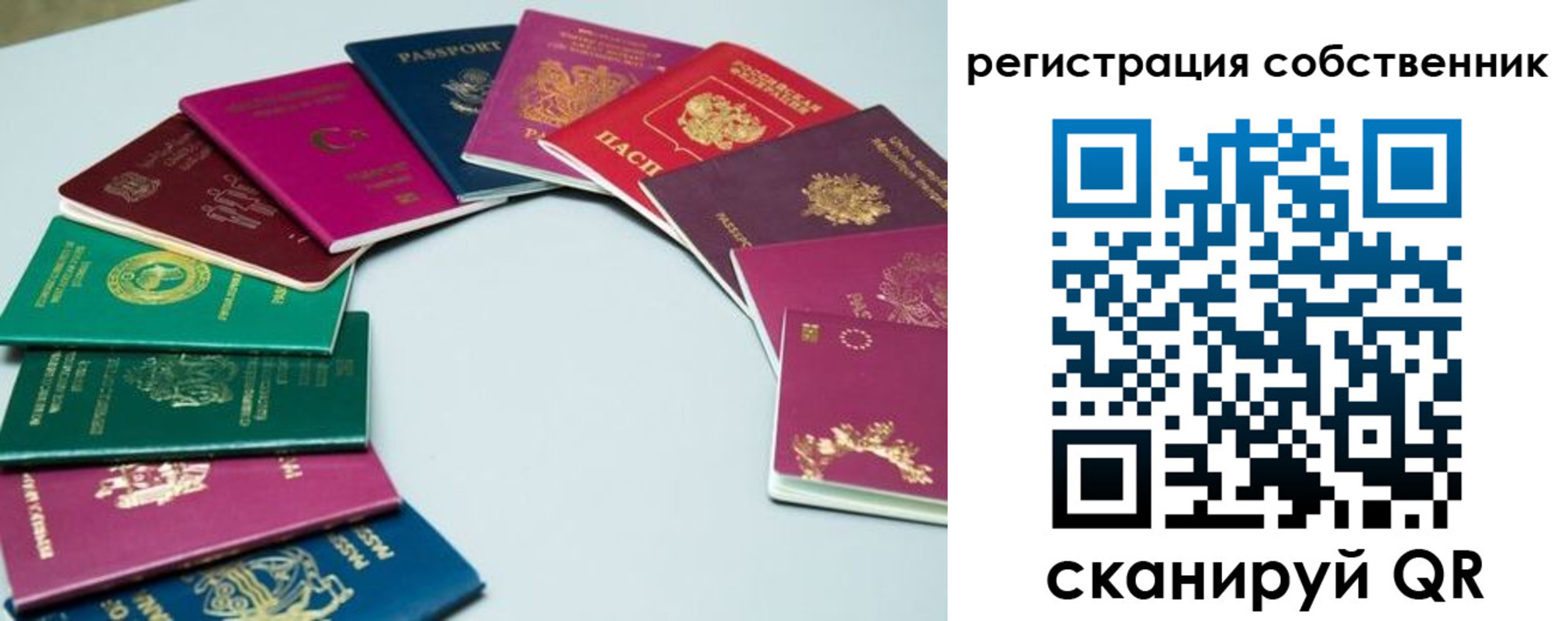 временная регистрация законно в Мурино